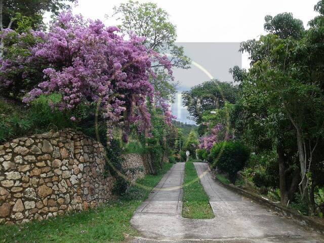Sítio para Venda em Santa Luzia - 4